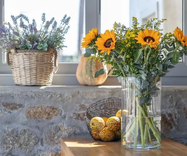 מלון דירות Sea Wind And